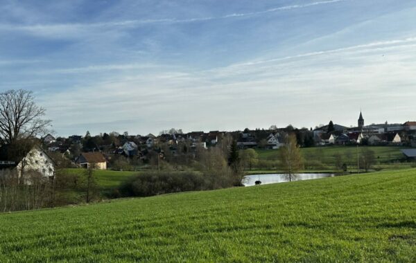 Blick auf Dunningen mit Heckenweiher, Foto: Tobias Krug