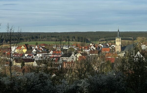 Blick auf Dunningen, Foto: Tobias Krug