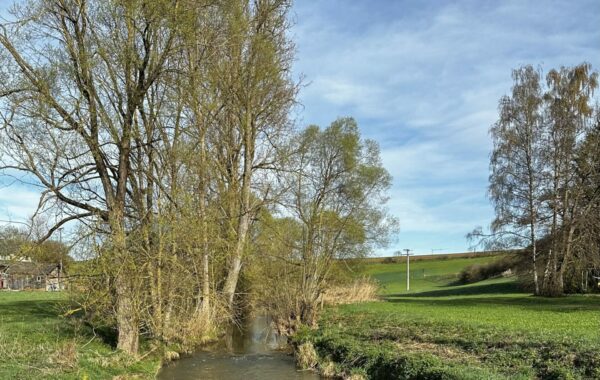 Die Eschach in Lackendorf, Foto: Tobias Krug